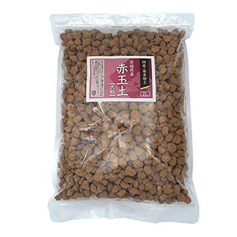 5 大好評 国産 硬質 赤玉土 大粒 2l 10mm 18mm 基本土 ブレンド用に 観葉植物 花木 草木など Discoversvg Com