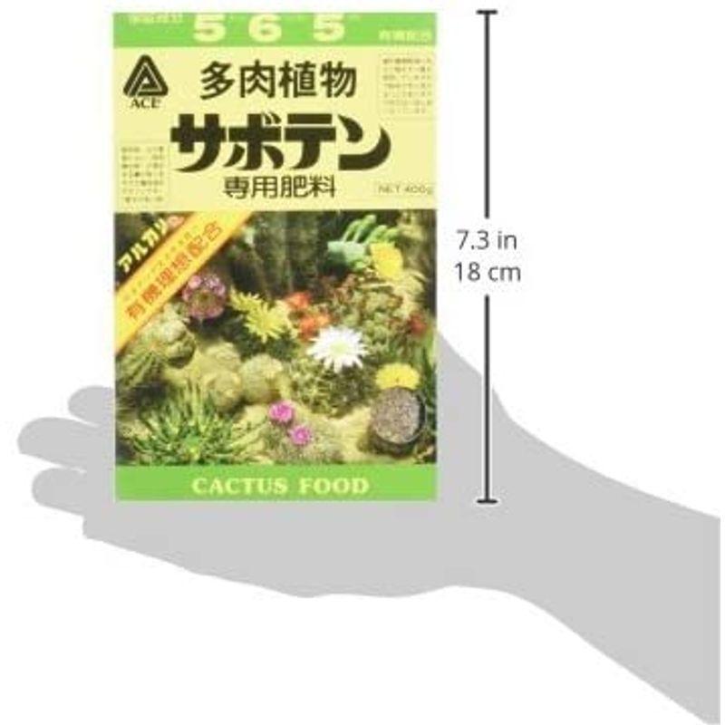 大決算セール アミノール化学研究所 サボテン専用肥料 400g Discoversvg Com