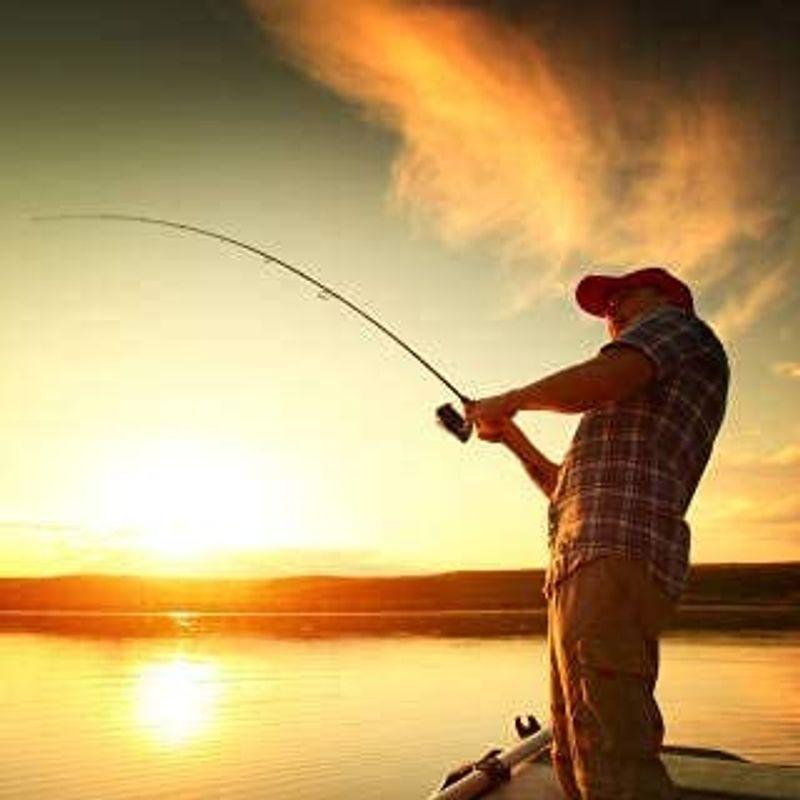 レビューで送料無料 アラディノ Aladino 2500 リール ワタチャンプ Watachamp スピニングリール ギア比6 2 海釣り 川釣り 7 1 両軸リール Www We Job Com