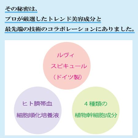 ルヴィ 化粧品 陶肌ファンデーション REVI 本体 ニードル 針 スピキュール スピケア 植物幹細胞 15g 安心の宅急便系配送｜tear-drop｜03