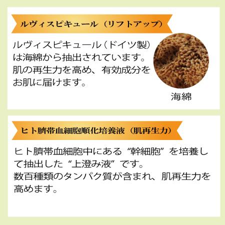 ルヴィ 化粧品 陶肌ファンデーション REVI 本体 ニードル 針 スピキュール スピケア 植物幹細胞 15g 安心の宅急便系配送|tear-drop|04