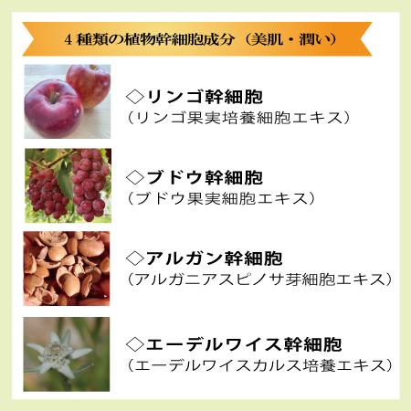 ルヴィ 化粧品 陶肌ファンデーション REVI 本体 ニードル 針 スピキュール スピケア 植物幹細胞 15g 安心の宅急便系配送|tear-drop|05