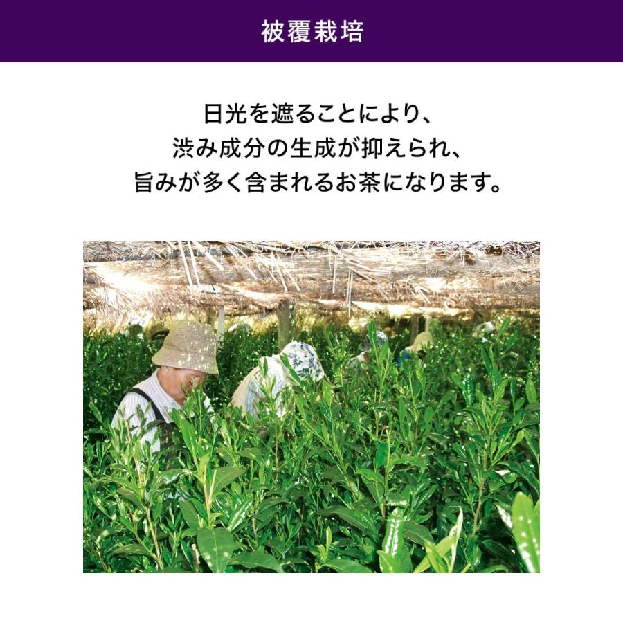 伊藤園（ITO EN） お茶 緑茶 茶葉 銘茶傳承 DXH-100N 品評会出品煎茶