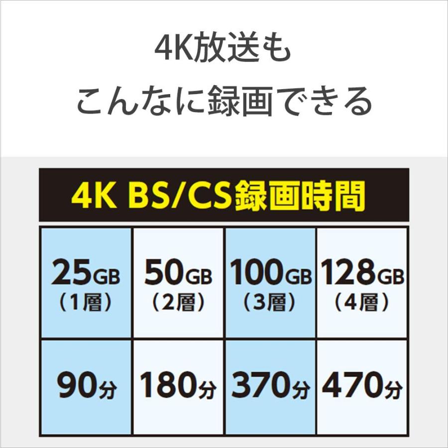 ソニー ブルーレイディスク BD-RE XL 100GB (1枚あたり地デジ約12時間