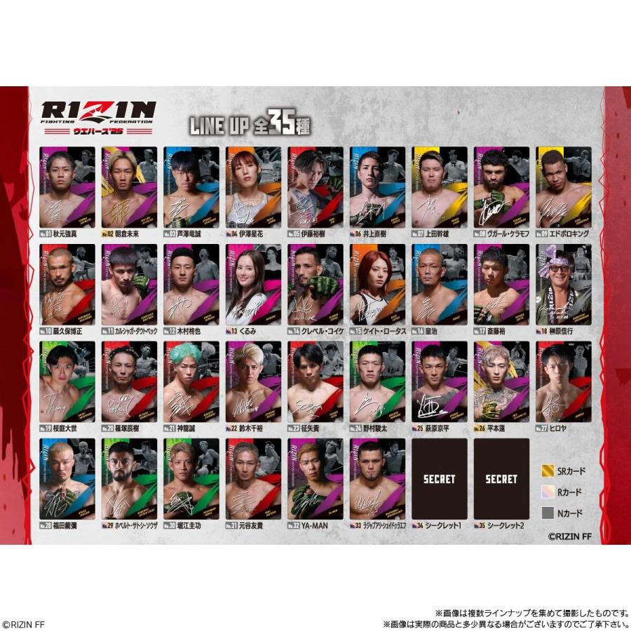 RIZINウエハース'25 20個入りBOX 兵庫東倉庫 : Tech-In ヤフー店
