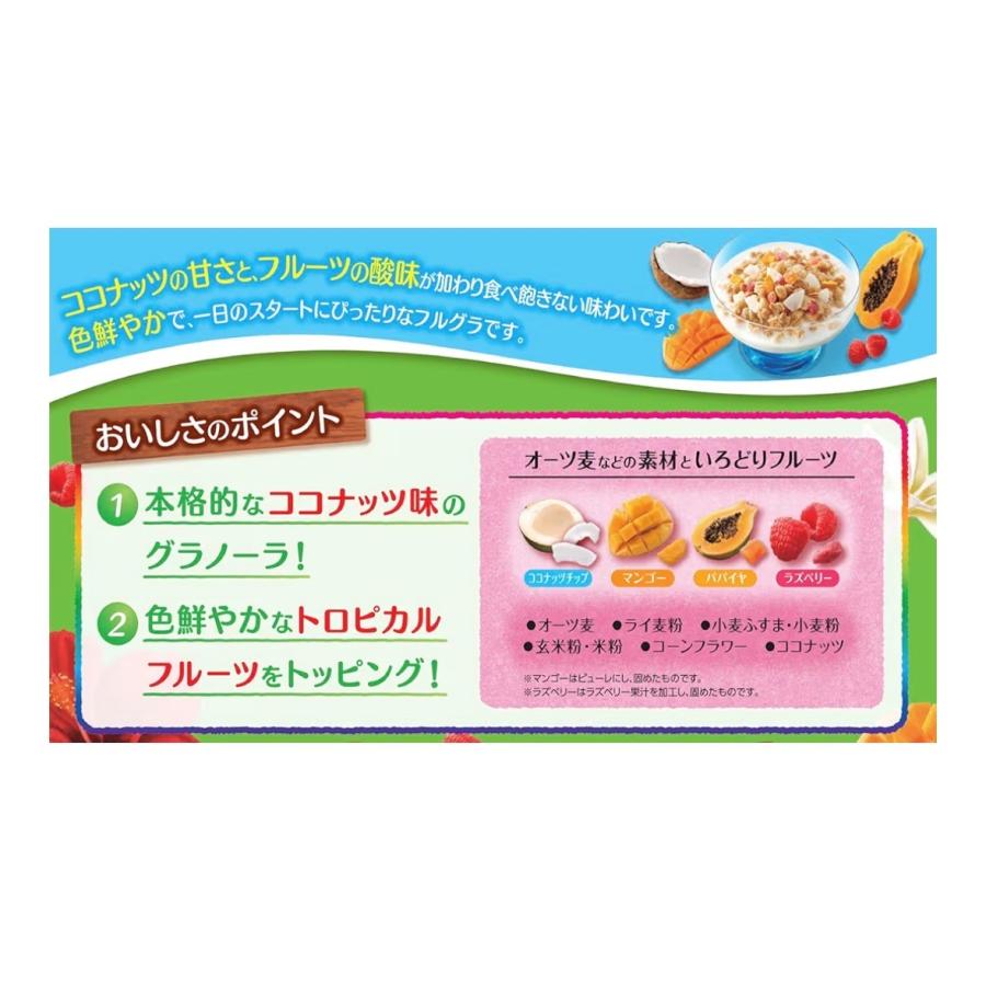 6袋セット カルビー フルグラ トロピカルココナッツ味 1袋(550g) 福岡