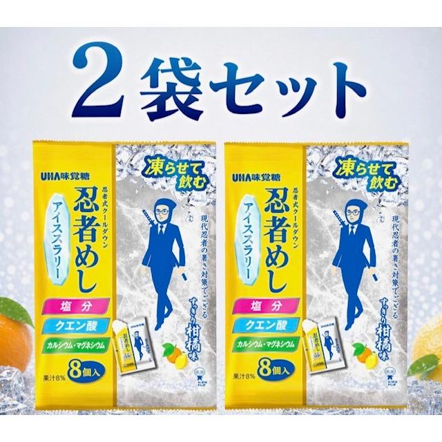 2袋セット 忍者めし アイススラリー すっきり柑橘系味 UHA味覚糖 1袋