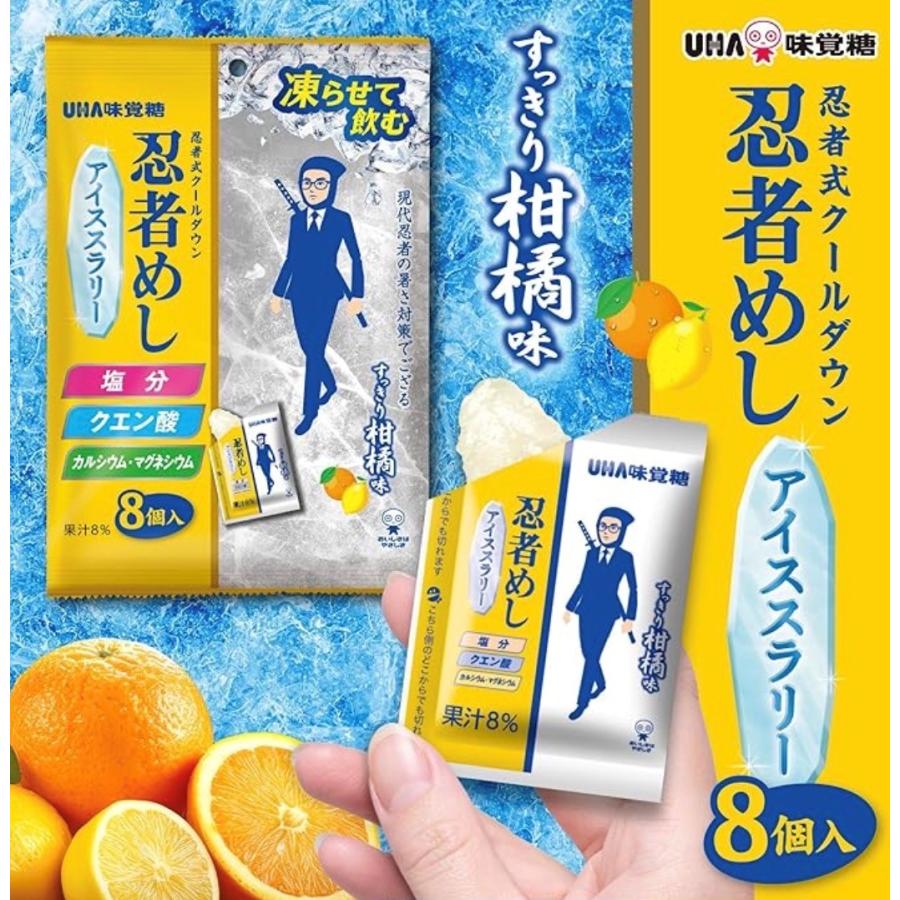 2袋セット 忍者めし アイススラリー すっきり柑橘系味 UHA味覚糖 1袋