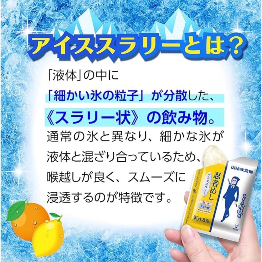 2袋セット 忍者めし アイススラリー すっきり柑橘系味 UHA味覚糖 1袋