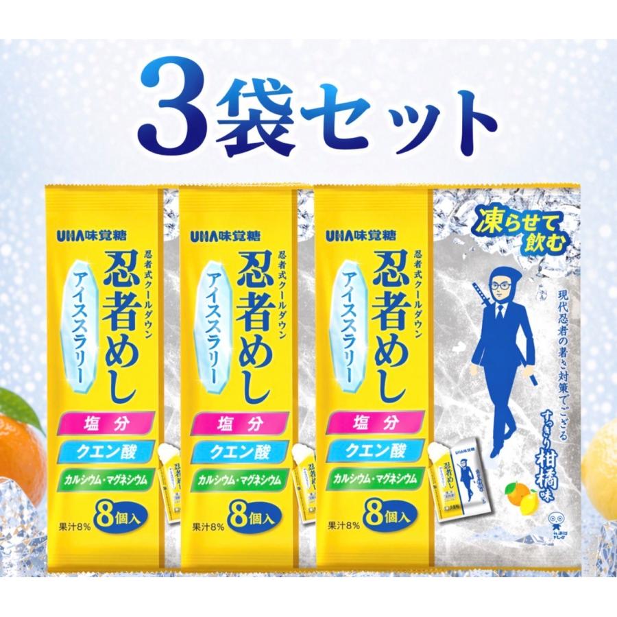 3袋セット 忍者めし アイススラリー すっきり柑橘系味 UHA味覚糖 1袋