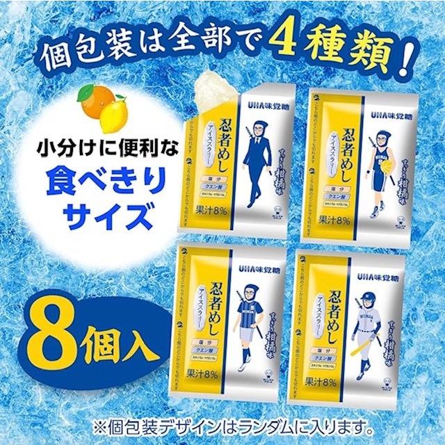3袋セット 忍者めし アイススラリー すっきり柑橘系味 UHA味覚糖 1袋