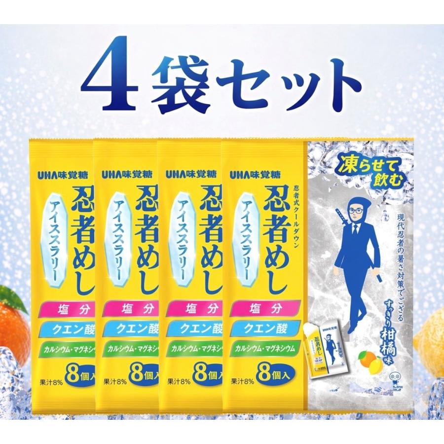 4袋セット 忍者めし アイススラリー すっきり柑橘系味 UHA味覚糖 1袋
