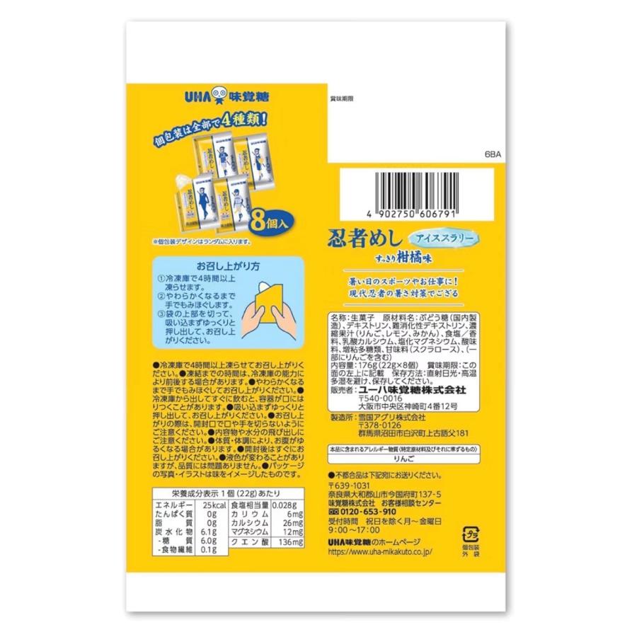 4袋セット 忍者めし アイススラリー すっきり柑橘系味 UHA味覚糖 1袋