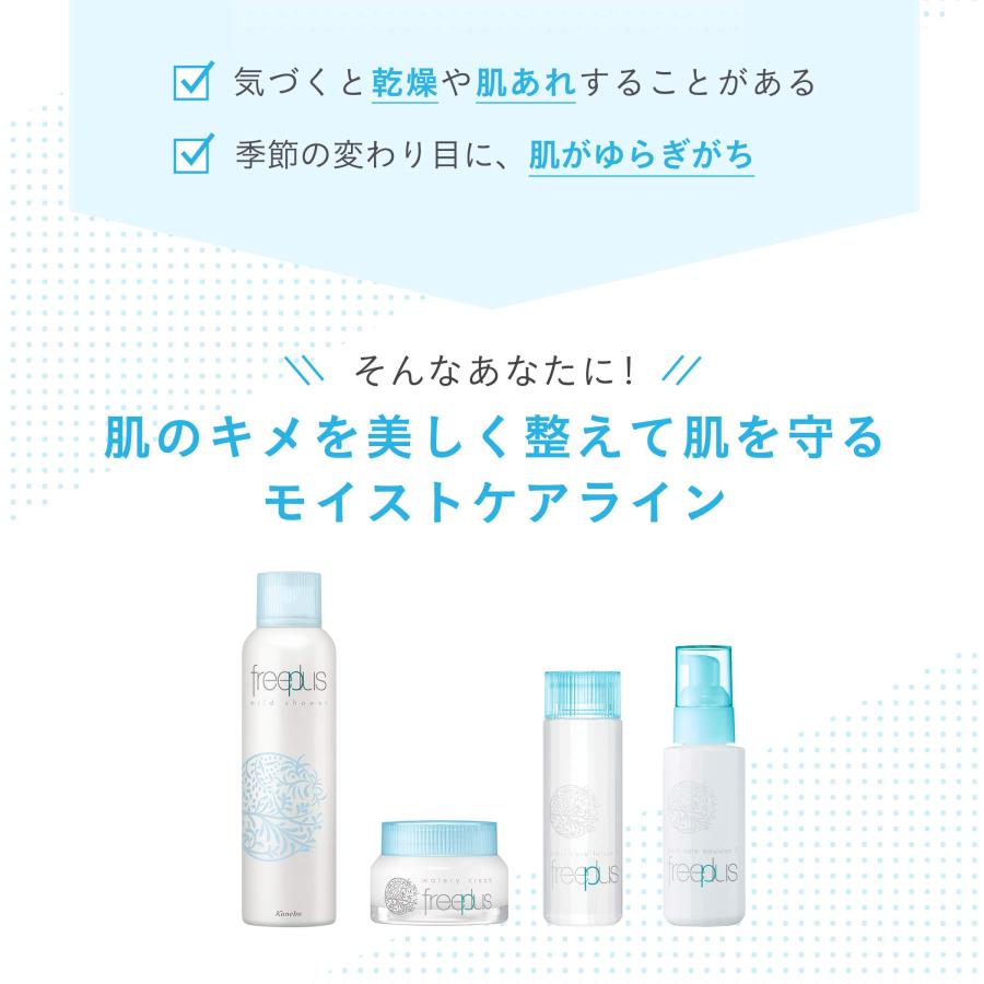 カネボウ化粧品 【2個セット】フリープラス マイルドシャワー ミスト