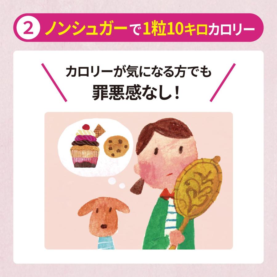5個セット 松浦薬業 エキナケアのど飴 52g ノンシュガー 個包装 東京南