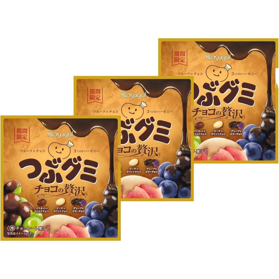 期間限定 まとめ買い3袋セット】 春日井製菓 Kasuga つぶグミ チョコの