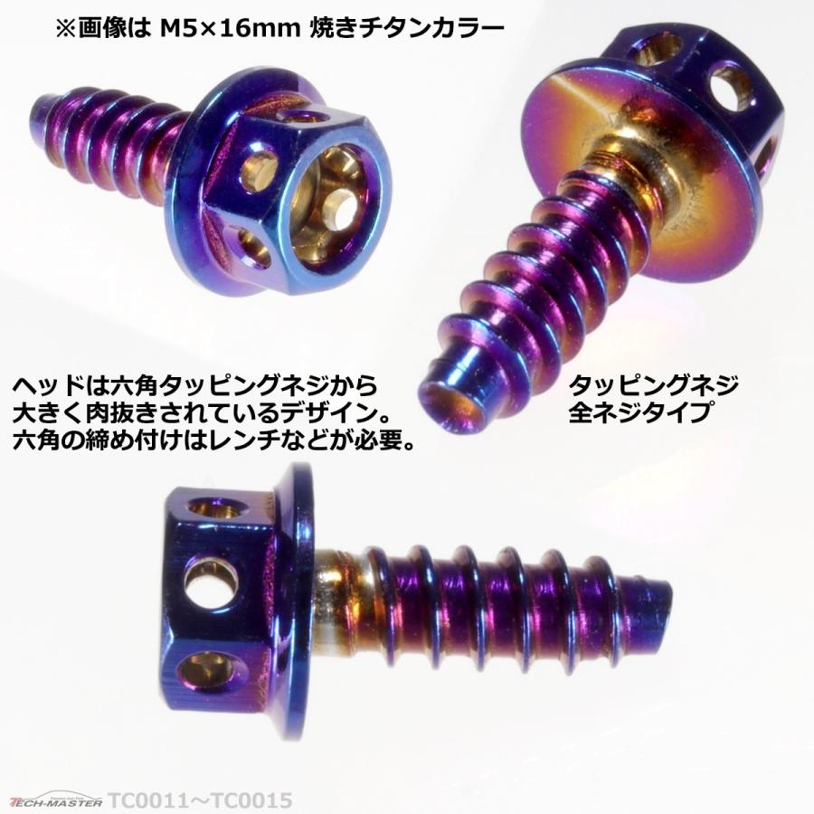 4年保証 M5 16mm ヘキサゴンヘッド タッピングネジ ステンレス 六角タッピングネジ 焼きチタンカラー 1個 Tc0013 Zelichowo Pl