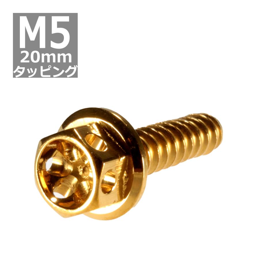 当店だけの限定モデル M5 mm ヘキサゴンフラワーヘッド タッピングネジ ステンレス 車 バイク ドレスアップパーツ ゴールド 1個 Tc0024 Topdental Com Ar