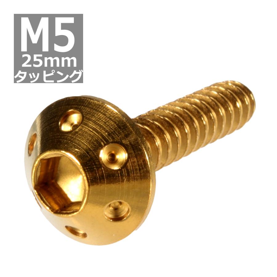 M5 25mm ホールヘッド タッピングネジ トラス頭ネジ 六角穴付きネジ ゴールド 1個 Tc0070 Tc0070 Tech Master 通販 Yahoo ショッピング