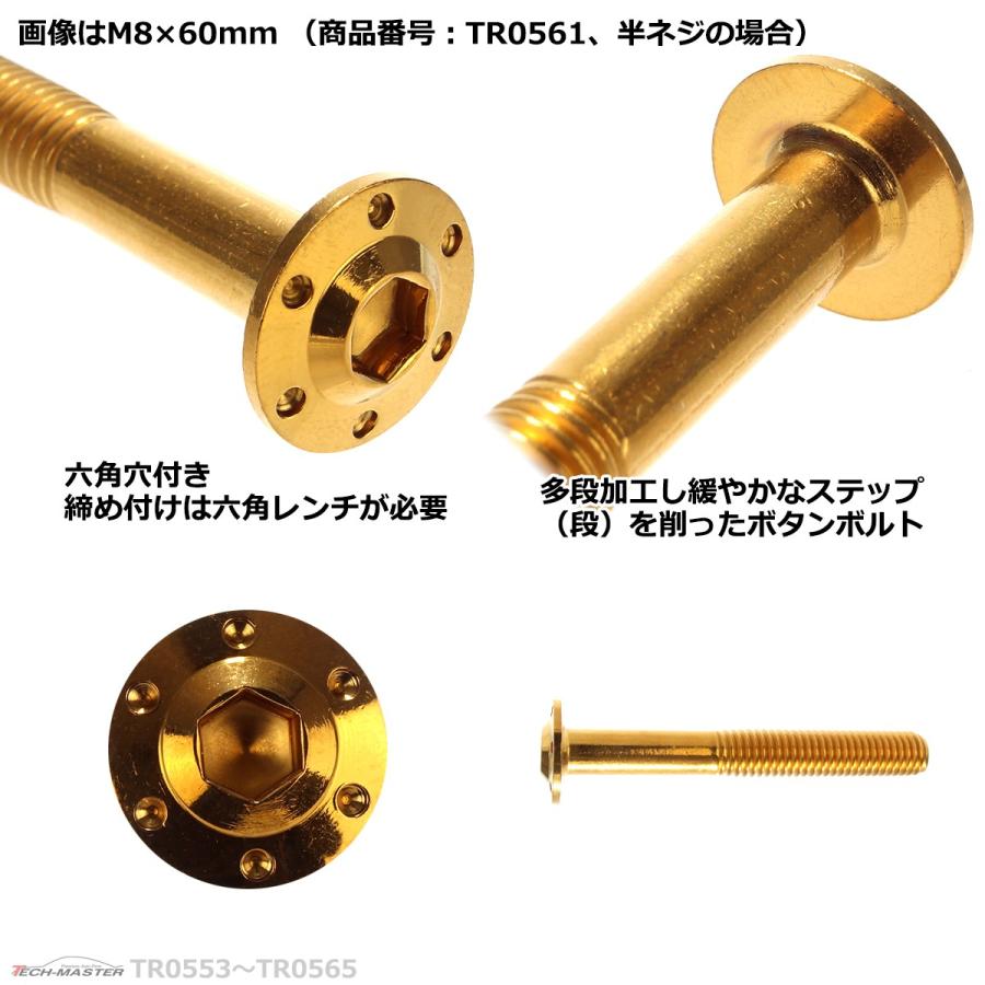 ボタンボルト M8×30mm P1.25 ホールヘッド H-1 ステンレス ゴールド 1個 TR0555 :TR0555:TECH-MASTER -  通販 - Yahoo!ショッピング