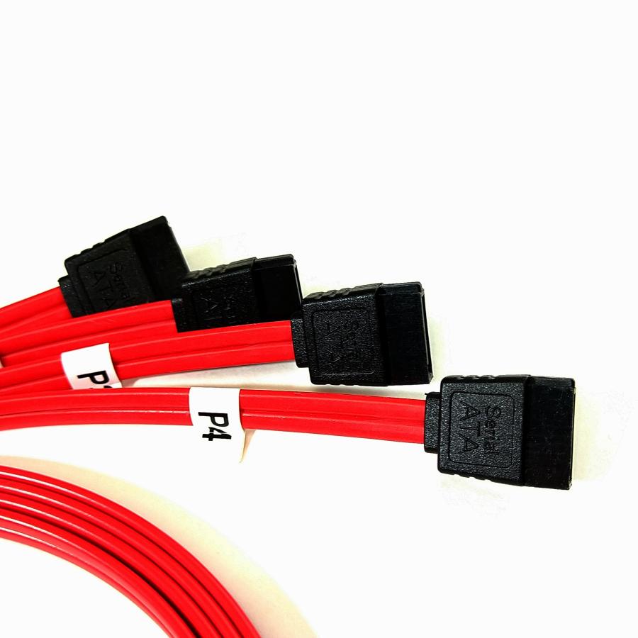 Mini SAS ケーブル 36ピン SFF-8087 to 4 SATA 7ピン ミニSAS Mini SAS ケーブル 36ピン SFF-8087 to 4 SATA 7ピン ミニSAS