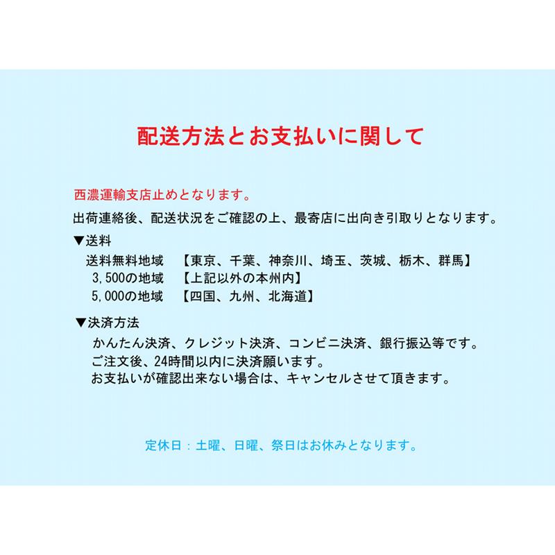 【中古】ブリヂストン アシスタ 色：ブルー 26インチ 6.6Ah バッテリー 充電器付※西濃運輸支店止め配送商品｜technical-inc｜02