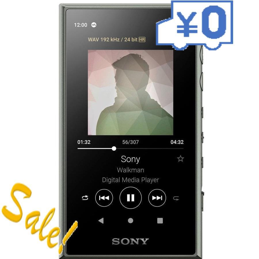 ソニー ネットワーク対応ウォークマン A100シリーズ 32gb ヘッドホン非同梱モデル アッシュグリーン Sony 円楽天ギフト付 Www Theatrefortantoine Com