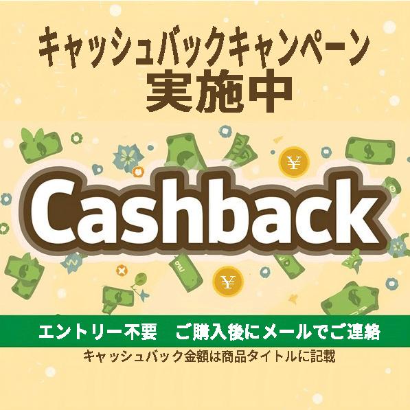 10000円キャッシュバック DELL｜デル ノートパソコン Dell 15(DC15250) カーボンブラック ND25-GNM3BC [15.…の画像