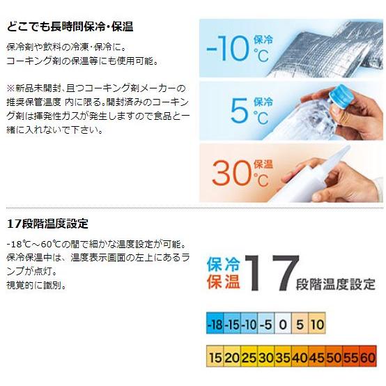 マキタ（makita） CW004GZ + BL4025 ×2本 + DC40RA 40V 充電式保冷温庫 