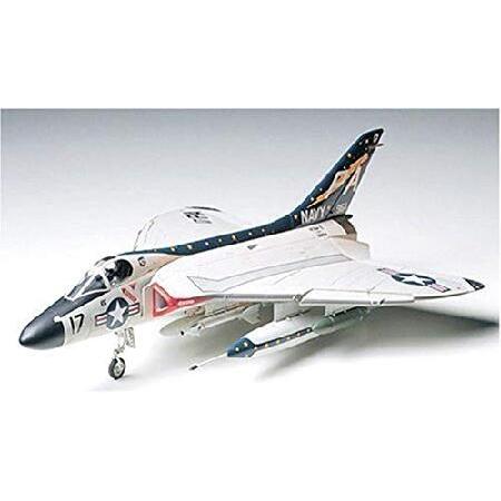 タミヤ 1/48 傑作機シリーズ スカイレイ_1