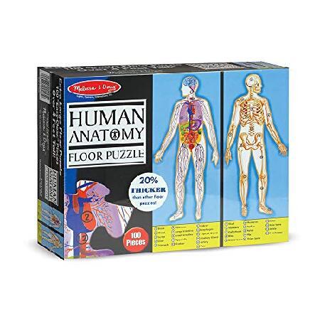 Human Body Floor (100 PC) (Floor Puzzles)の画像