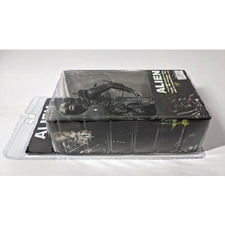 Cult Classics Presents: Classic Alien Action Figure by Neca_2