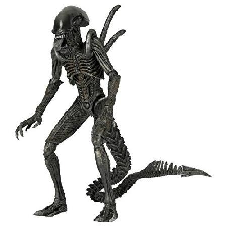【NECA】【AVP】ウォーリアーエイリアン フィギュア レビュー:NECA(ネカ) グリッド エイリアン AVPウォーリアー(7