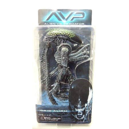NECA（ネカ） エイリアン 7インチアクションフィギュア シリーズ7 AVP