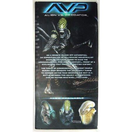 NECA（ネカ） エイリアン 7インチアクションフィギュア シリーズ7 AVP