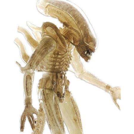 NECA（ネカ） エイリアン 1/4 スケール ビッグチャップ プロトタイプ版