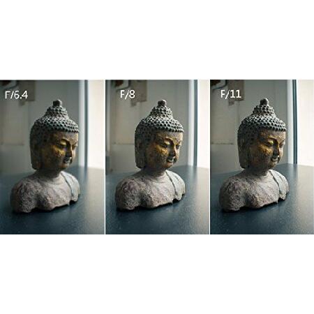 安原製作所 交換レンズ 43mm F6.4 MOMO100(EF) Amazon.co.jp: 安原製作所 交換レンズ 43mm F6.4 MOMO100(NF) : 家電