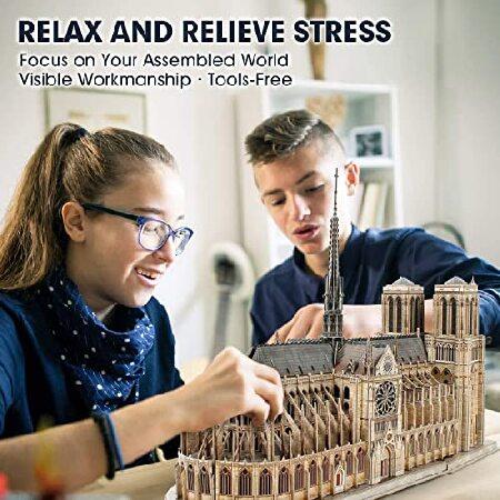 (Large Notre Dame de Paris for lovers) - CubicFun 3D Architecture Model Kits Puzzle Challenge for Adults，as Hobbies Gifts，Notre Dame de Paris France_4