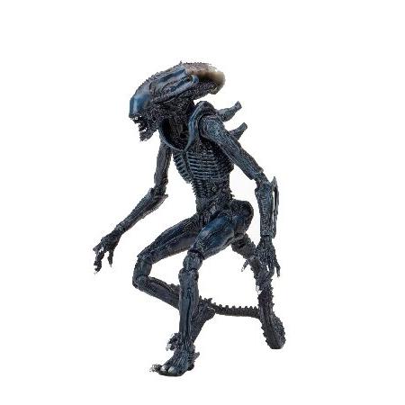 NECA（ネカ） NECA Alien vs Predator 7