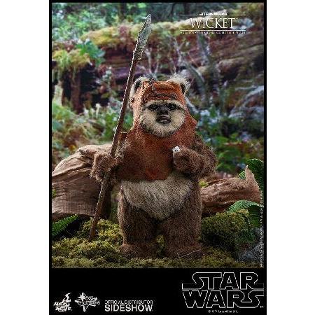 【ムービー・マスターピース】『スター・ウォーズ エピソード６／ジェダイの帰還』１／６スケールフィギュア ウィケット_5