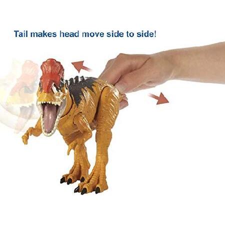 Jurassic World Toys Sound Strike Cryolophosaurus Figure with Strike and Chomping Action, Realistic Sounds, Movable Joints, Authentic Color and Textureの画像