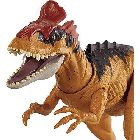 Jurassic World Toys Sound Strike Cryolophosaurus Figure with Strike and Chomping Action, Realistic Sounds, Movable Joints, Authentic Color and Textureの画像