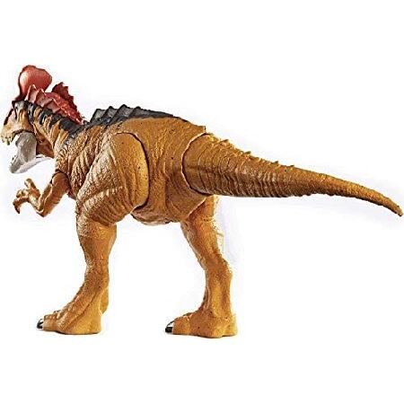 Jurassic World Toys Sound Strike Cryolophosaurus Figure with Strike and Chomping Action, Realistic Sounds, Movable Joints, Authentic Color and Textureの画像