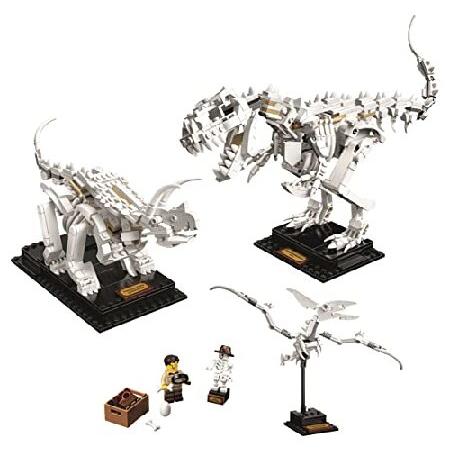 LEGO（レゴ） アイデア 恐竜の化石 21320 : テクノランチャー - 通販