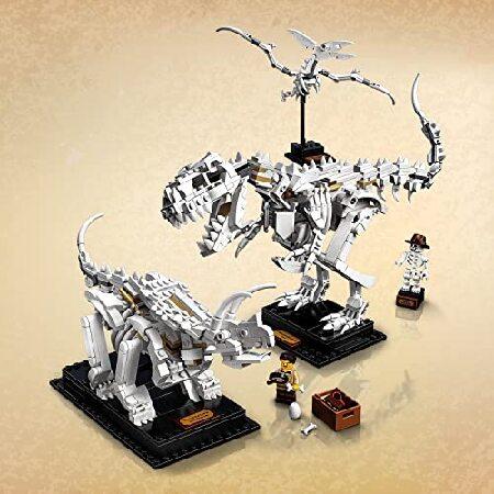 LEGO（レゴ） アイデア 恐竜の化石 21320 : テクノランチャー - 通販