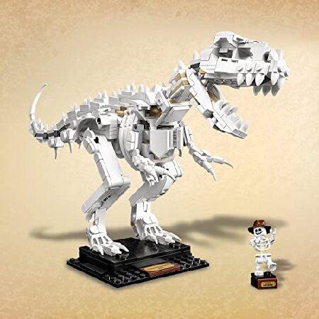 レゴ(LEGO) アイデア 恐竜の化石 21320_5