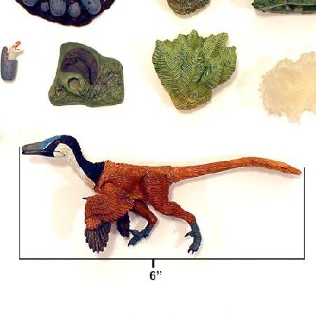 Beasts of the Mesozoic: Accessory Pack: Wetlands Environment with Buitreraptor G. - 1/6th Scale Dinosaur Action Figure Set， Collectible， Hand-Painted_1