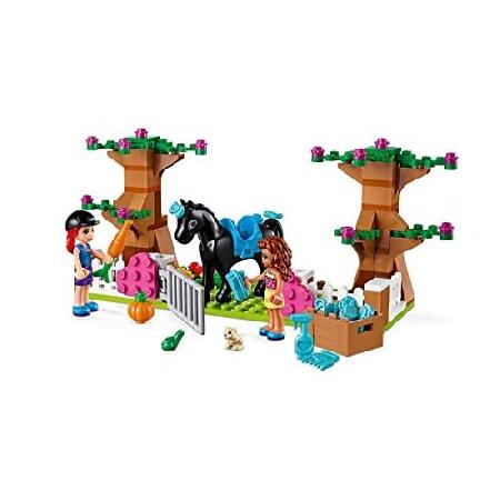 レゴ レゴ(LEGO) フレンズ レゴ フレンズ スターターボックス 41431_3