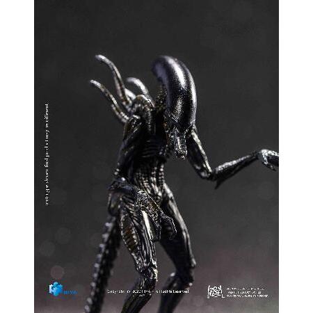 AVP 1/18 アクションフィギュア エイリアン ウォーリアー : テクノ