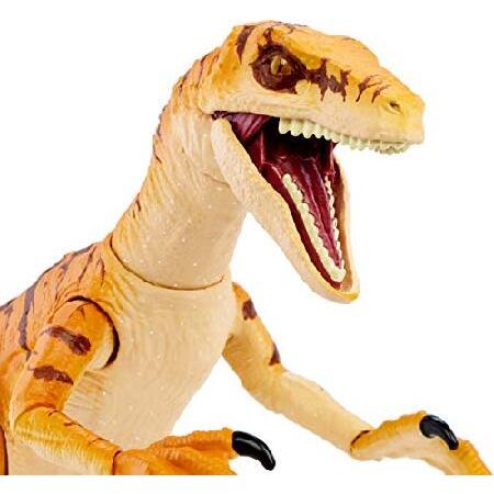 MATTEL（マテル） ジュラシックワールド(JURASSIC WORLD) アンバー
